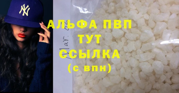 амф Коряжма