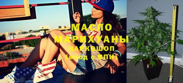 индика Краснослободск
