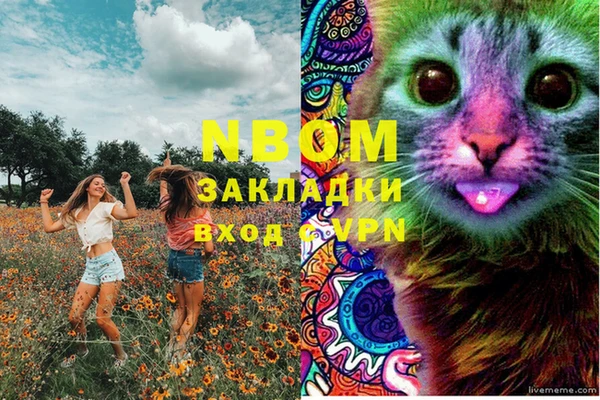 индика Краснослободск