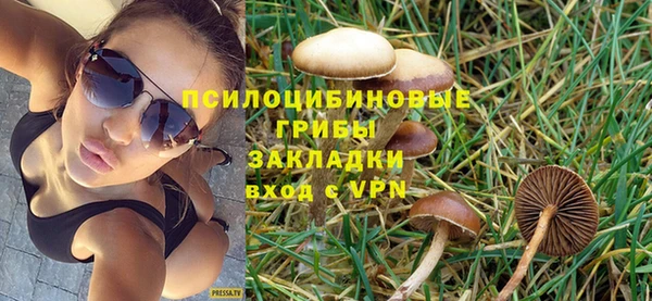 амф Коряжма