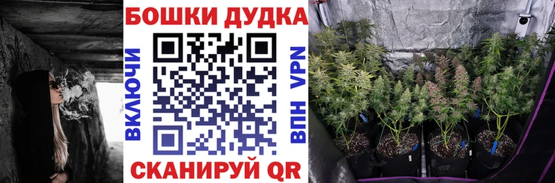 hydra ССЫЛКА  Котельниково  Бошки марихуана THC 21%  наркошоп 